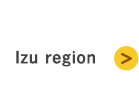 Izu region