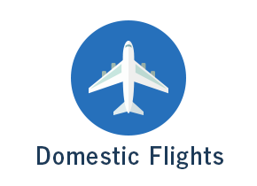 Domestic Flights