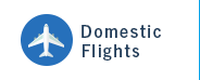 Domestic Flights